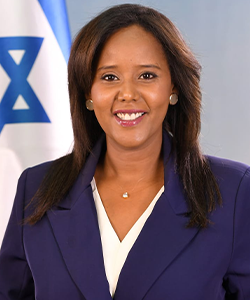 ח"כ פנינה תמנו  | צילום: חיים צח לעמ