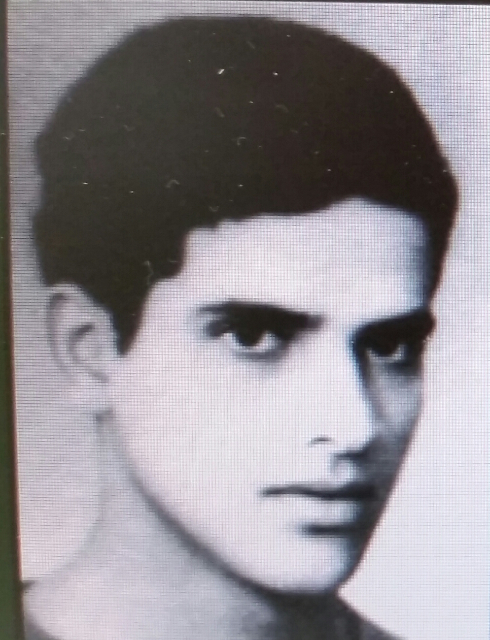 יואל שרעבי