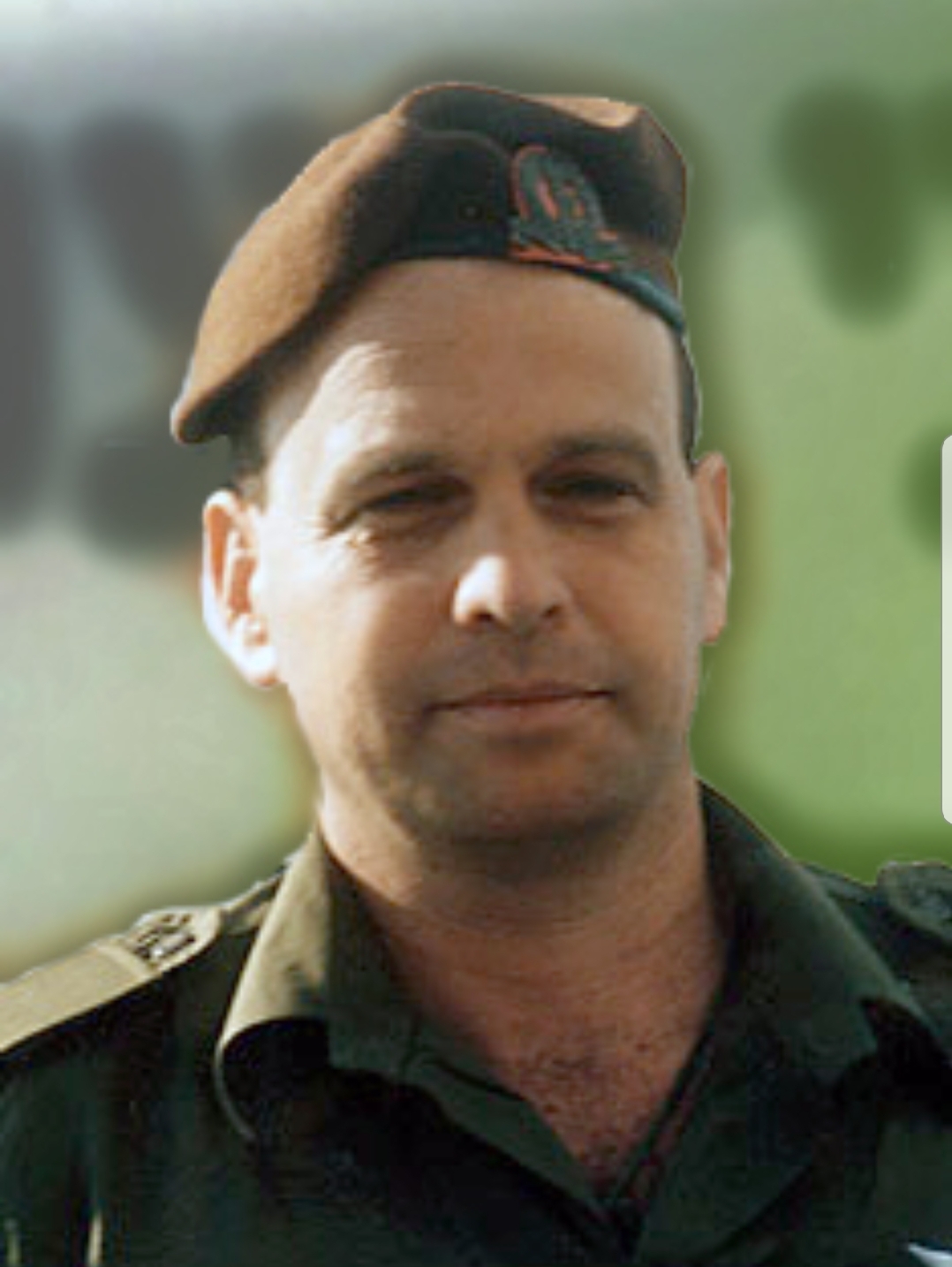 טרז גרשטיין 
