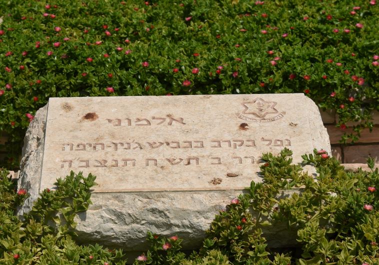אלמוני נפל בכביש ג'נין חיפה
