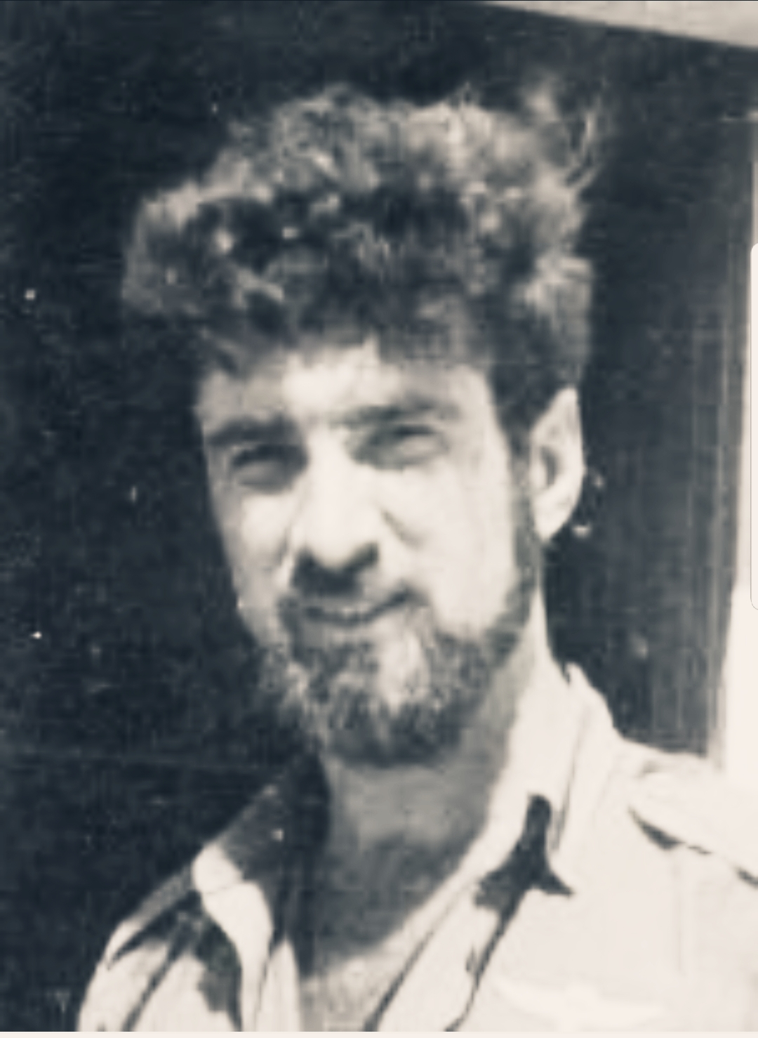 דניאל שפילברג