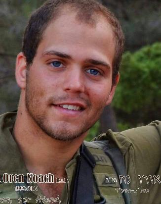 אורן שמחה נח