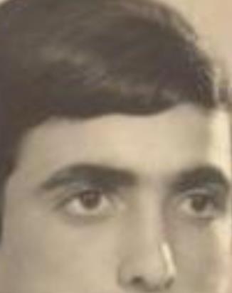 דוד מלכה