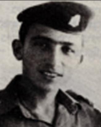 משה גרינברג