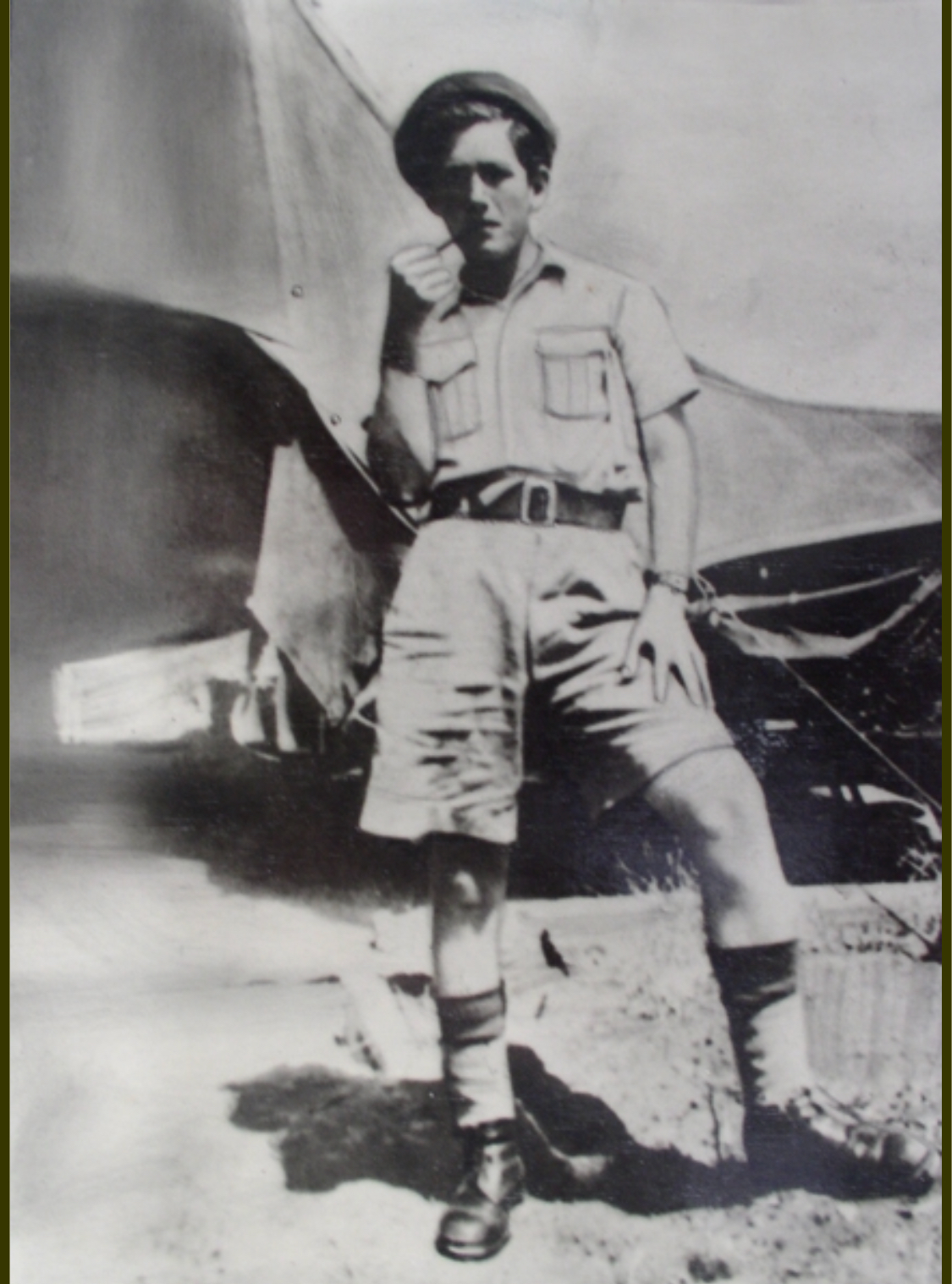 אהרן דב בורד