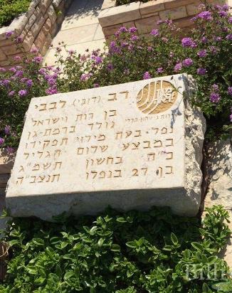 דב לבבי